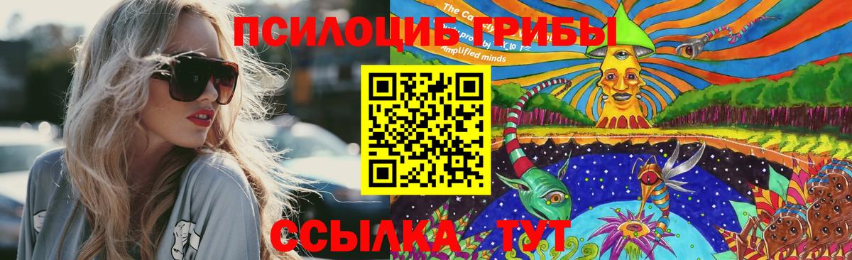 Междуреченск  Галлюциногенные грибы Cubensis  Вход с VPN 