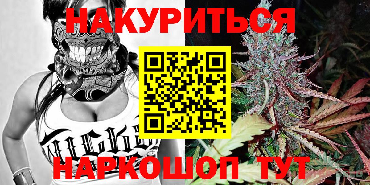 A PVP Междуреченск